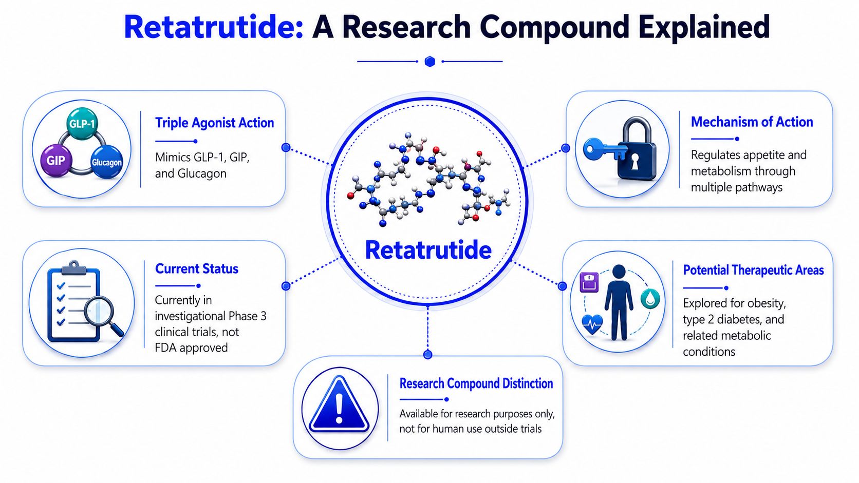 An infographic titled Retatrutide explaining its triple agonist mechanism, current clinical trial status, and potential medical applications.