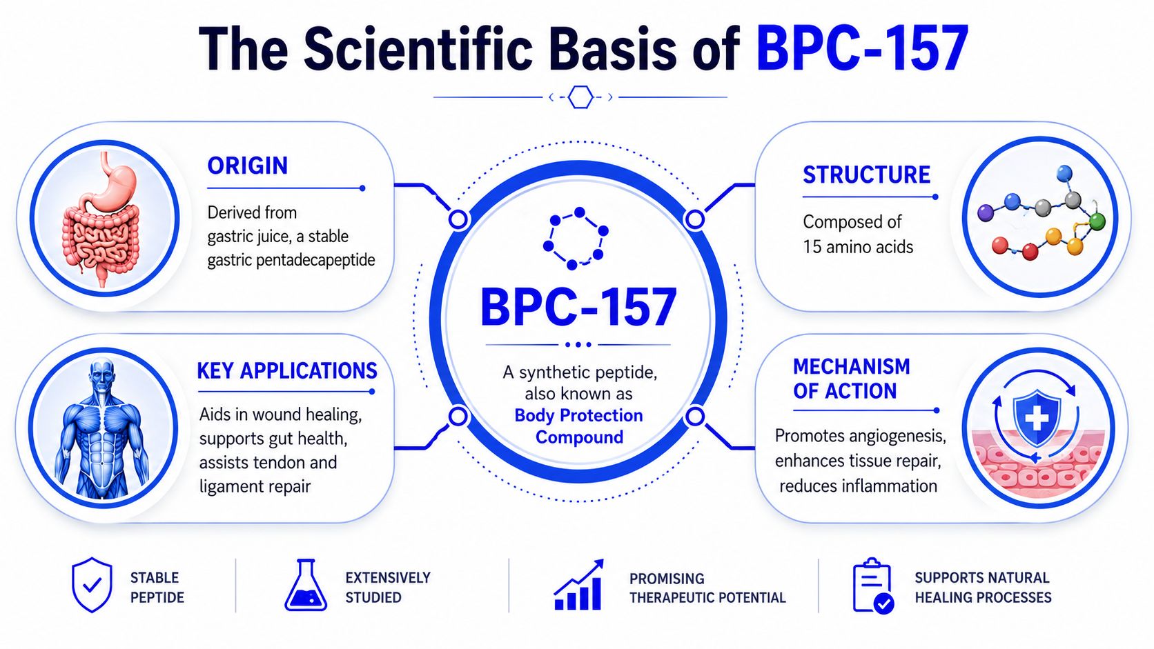 An infographic titled The Scientific Basis of BPC-157 detailing its origin, structure, applications, and mechanism of action.