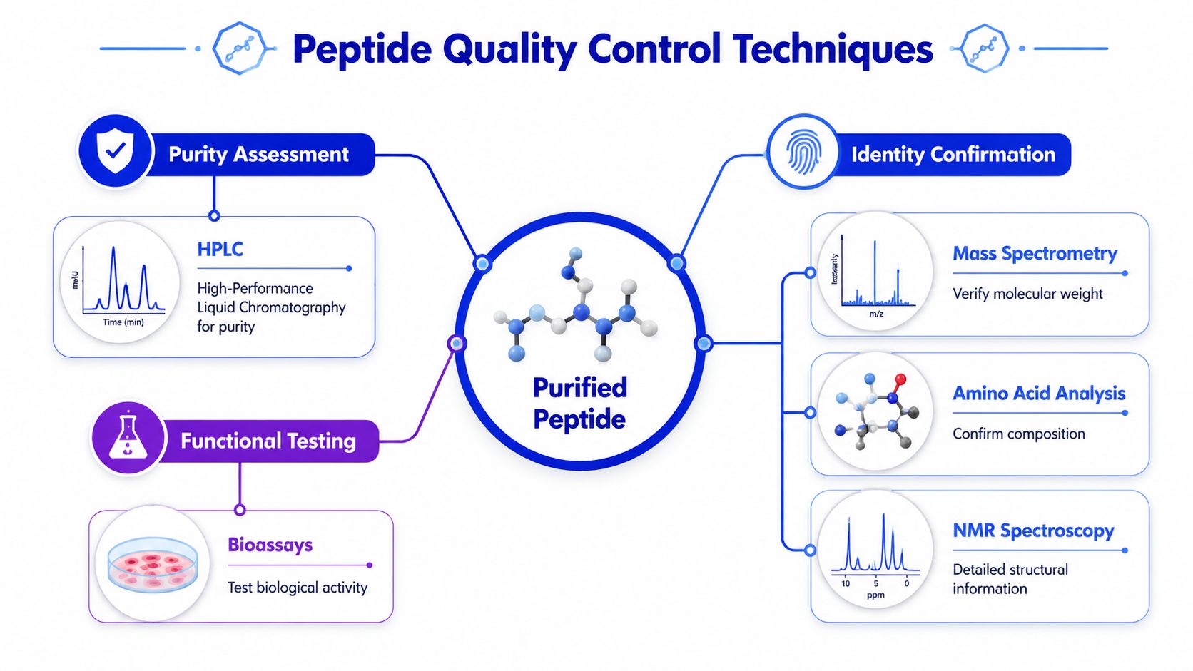 A diagram illustrating various peptide quality control techniques including purity assessment, identity confirmation, and functional testing methods.