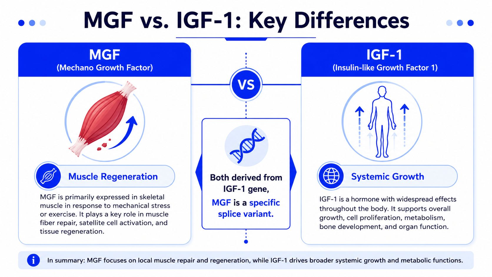 MGF Versus IGF-1 Understanding the Key Differences