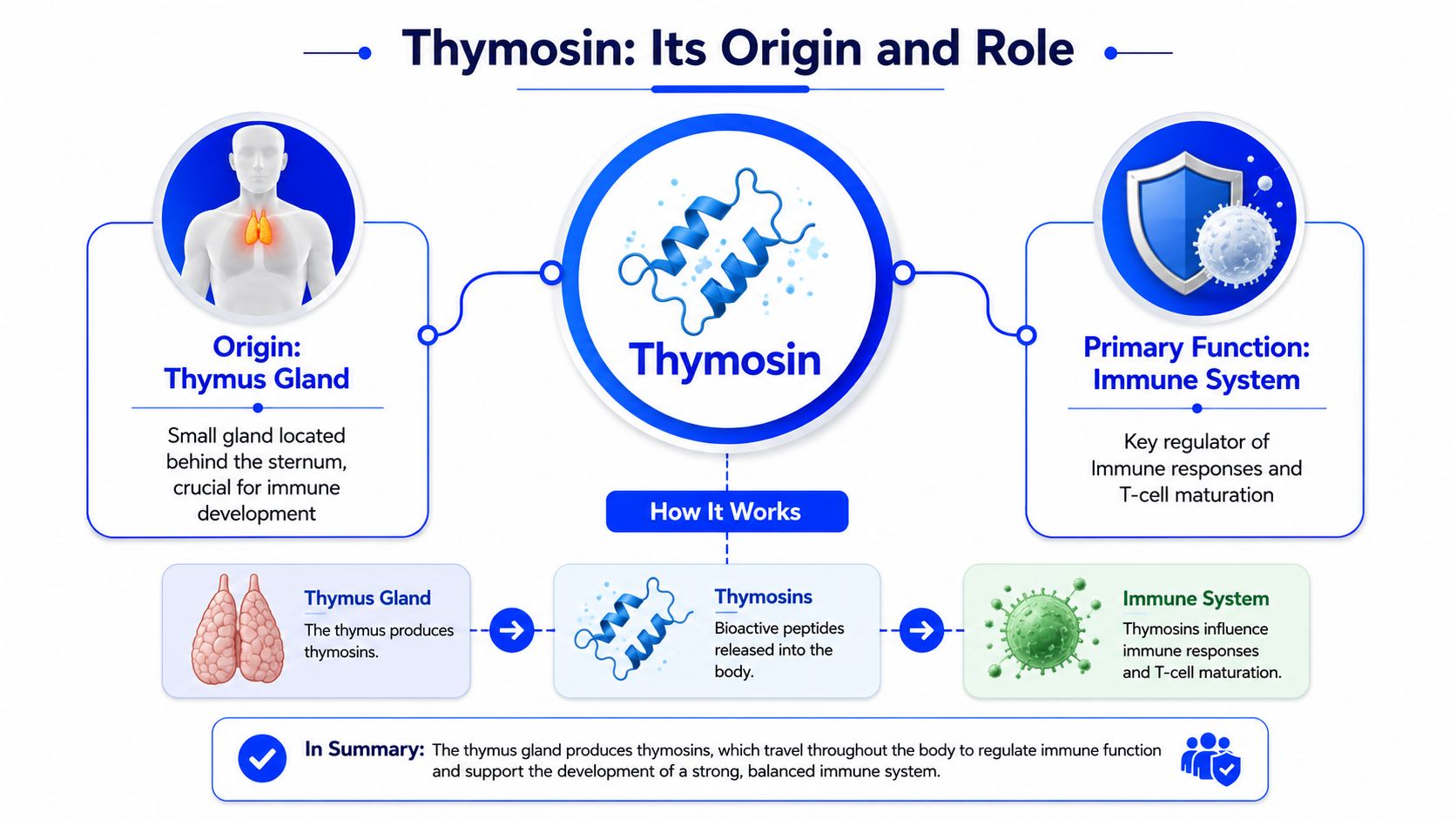What Is Thymosin and Its Role in the Body