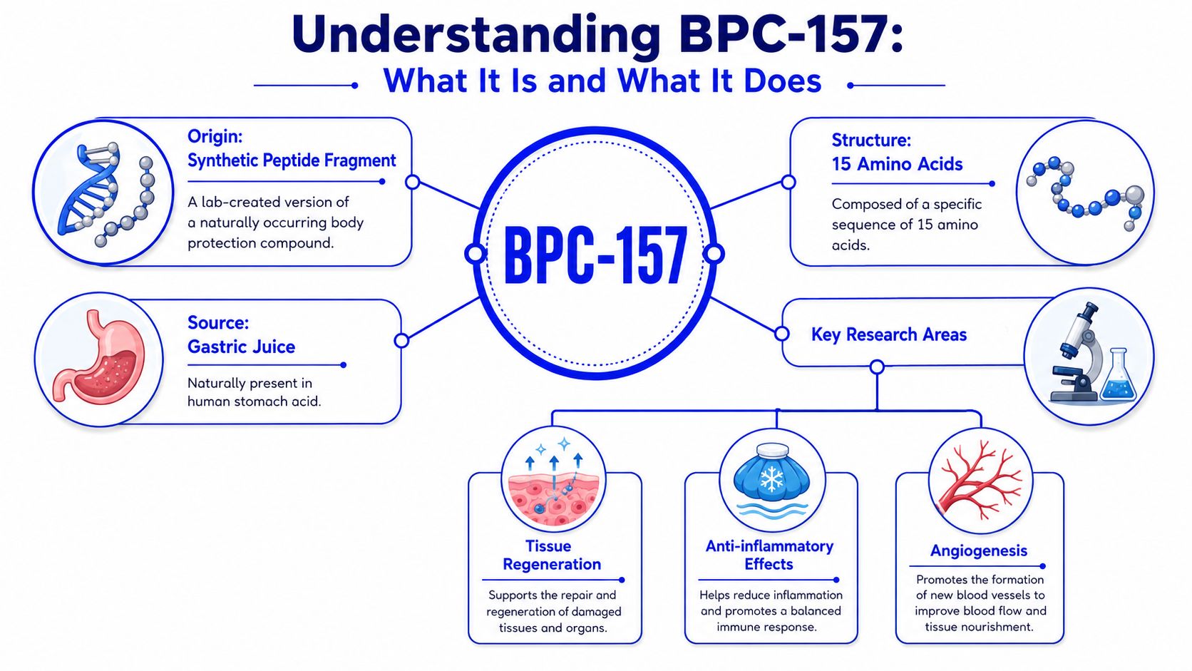 What Is BPC-157 and What Does It Really Do