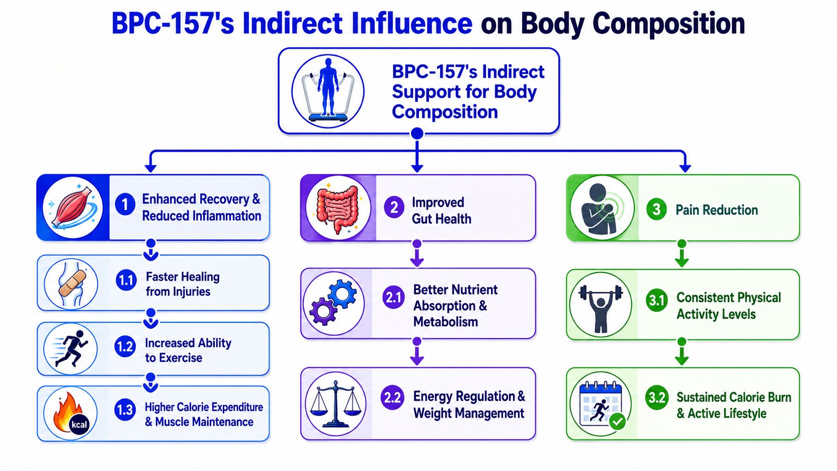 How BPC-157 Could Indirectly Support Body Composition
