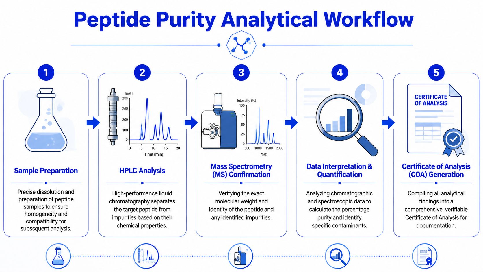 A five-step infographic showing the peptide purity analytical workflow from sample preparation to certificate of analysis.