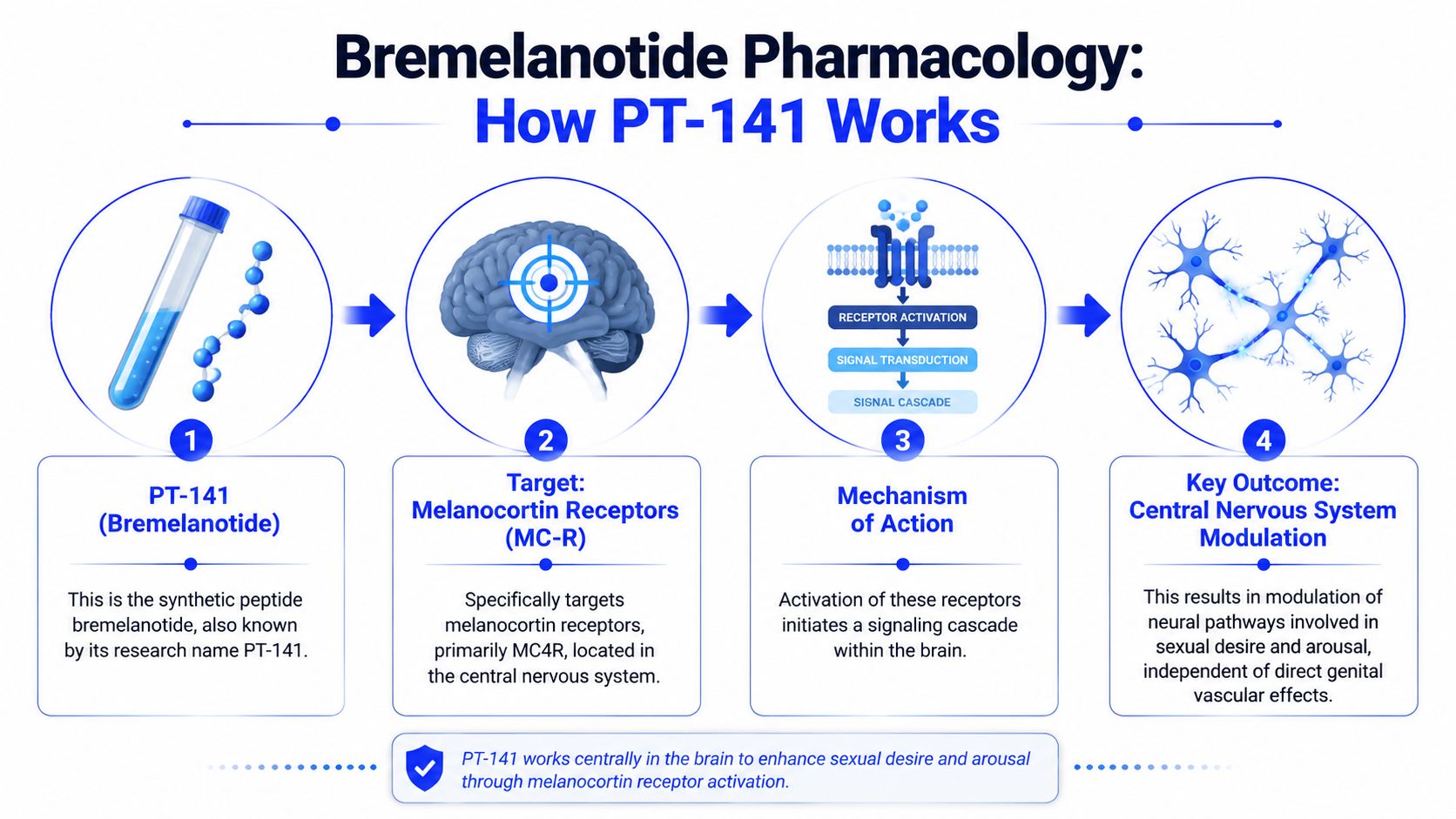 A diagram illustrating the mechanism of action of Bremelanotide, or PT-141, in the human brain.
