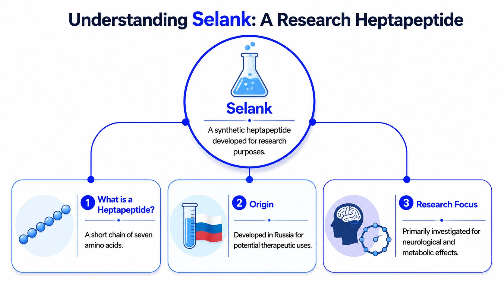 An infographic titled Understanding Selank explaining what the heptapeptide is, its Russian origin, and research focus.