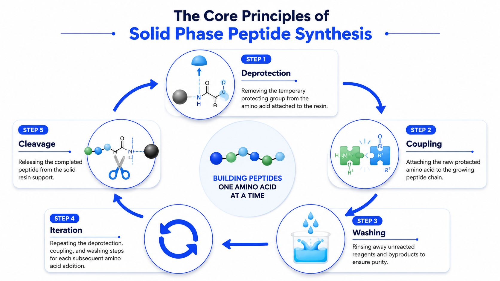 A diagram illustrating the five core steps of solid phase peptide synthesis, from deprotection to final cleavage.