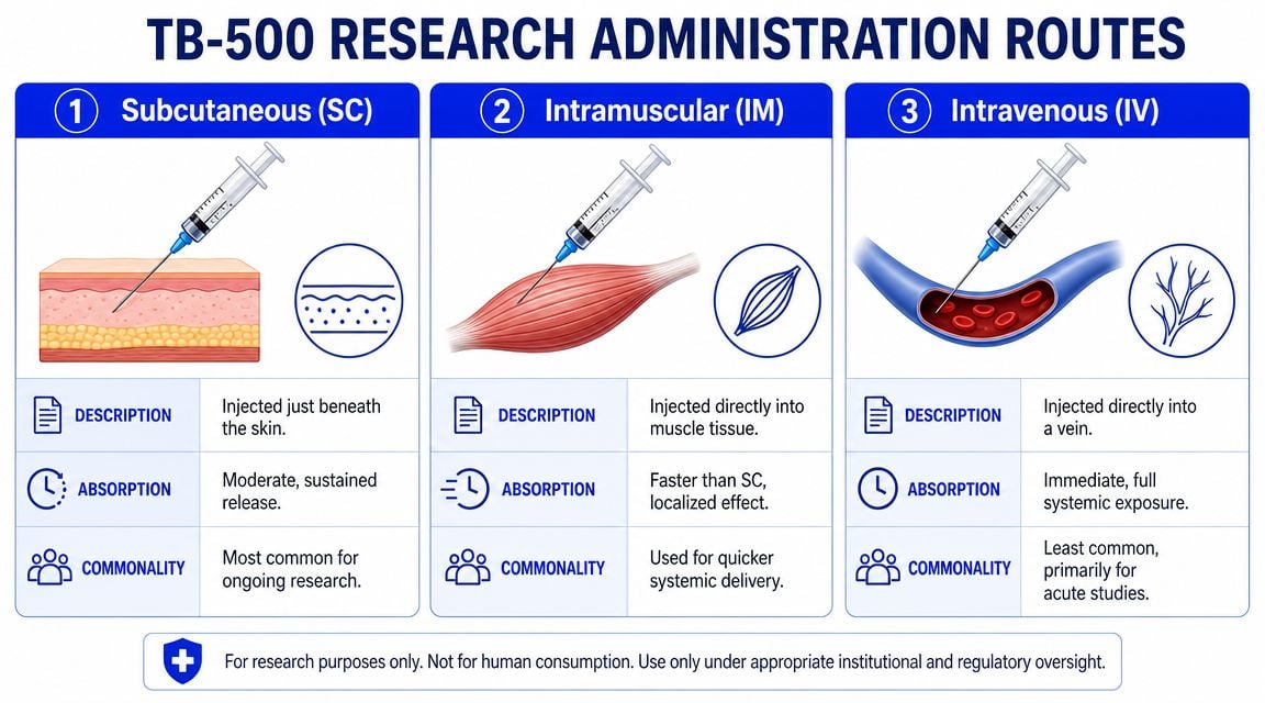 An infographic detailing three administration routes for TB-500 peptide: subcutaneous, intramuscular, and intravenous injections.