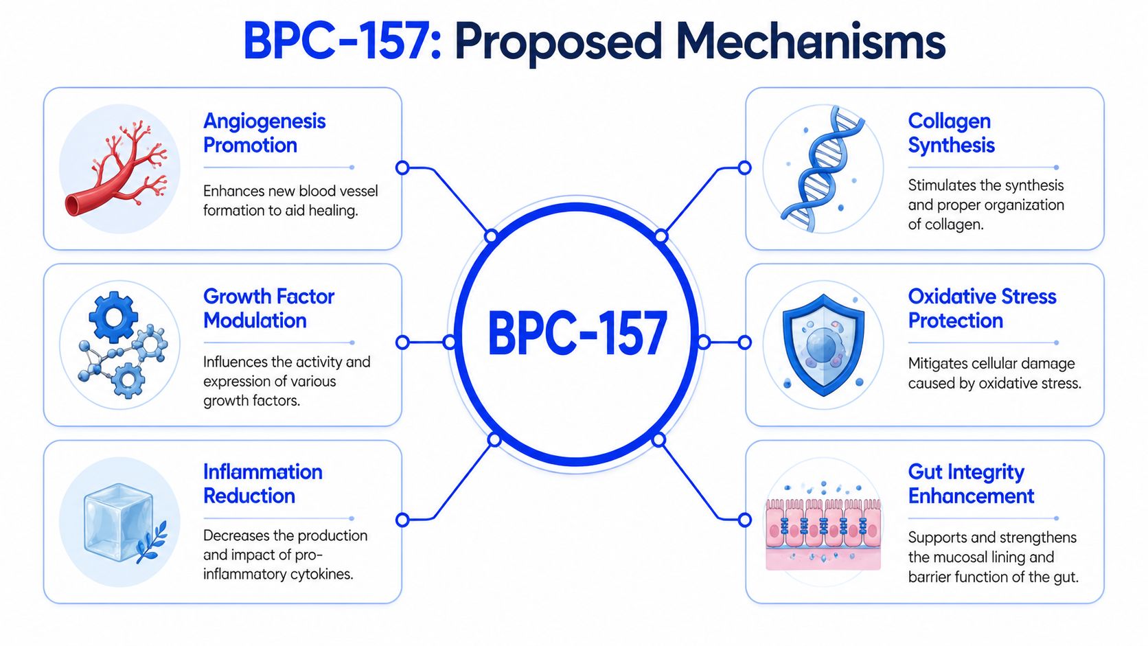 A diagram illustrating the proposed healing mechanisms of BPC-157, including angiogenesis, growth factors, and tissue repair.