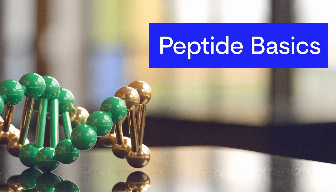 A close-up of a DNA molecular model on a surface with the text Peptide Basics overlay