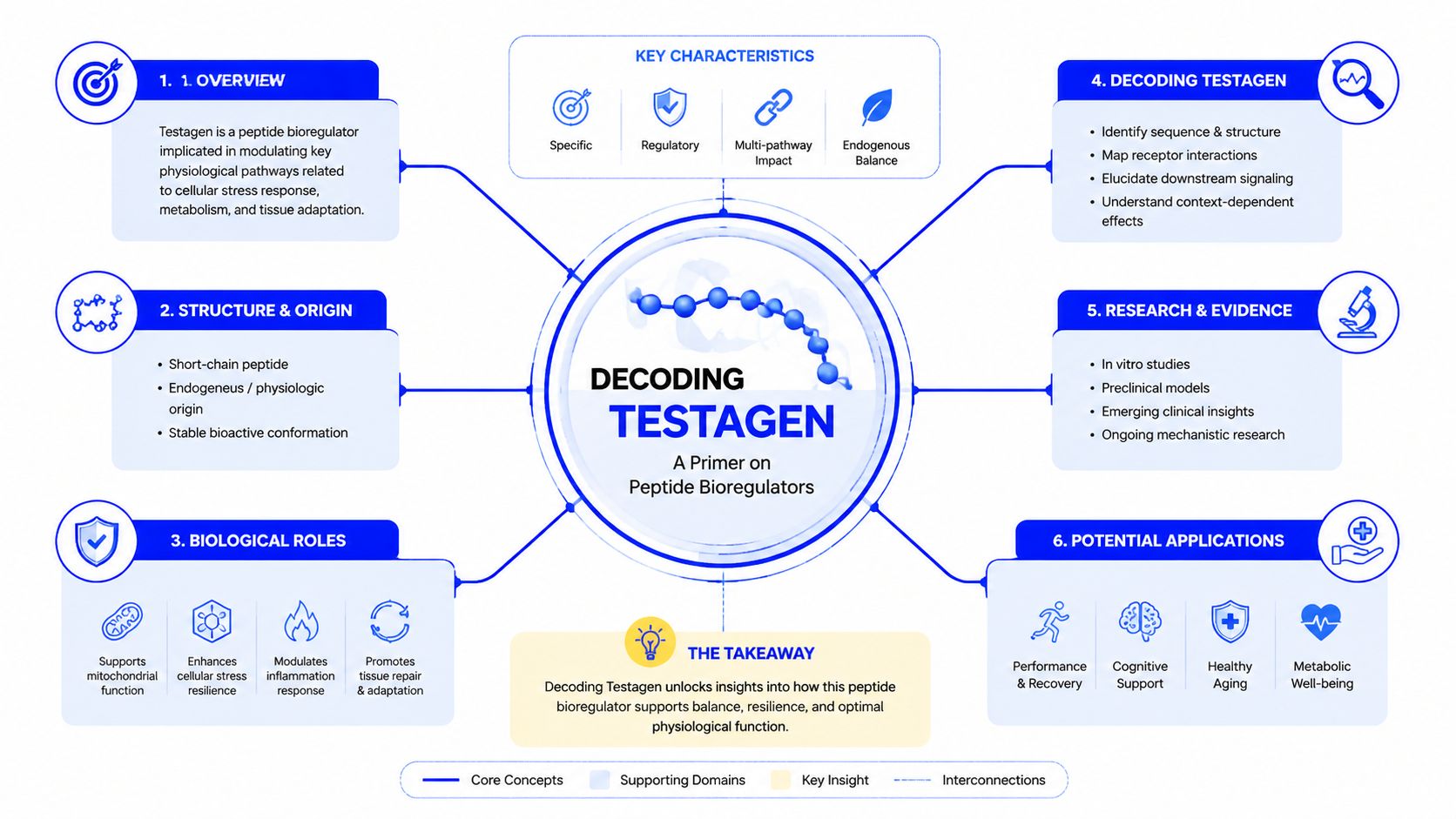 An infographic titled Decoding Testagen explaining its function as a peptide bioregulator, characteristics, roles, research, and potential applications.