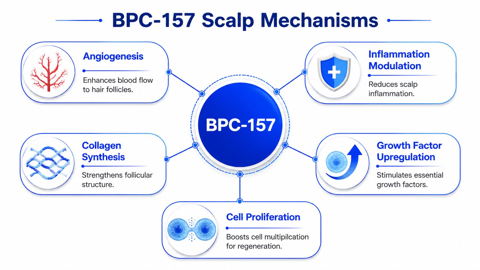 A diagram illustrating the five main mechanisms of BPC-157 for scalp health and hair growth enhancement.