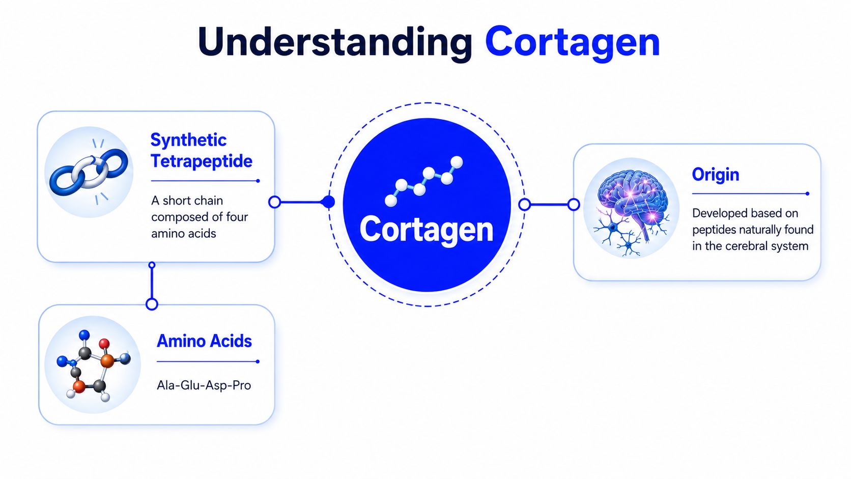 A diagram explaining Cortagen, a synthetic tetrapeptide peptide based on natural compounds found in the brain.