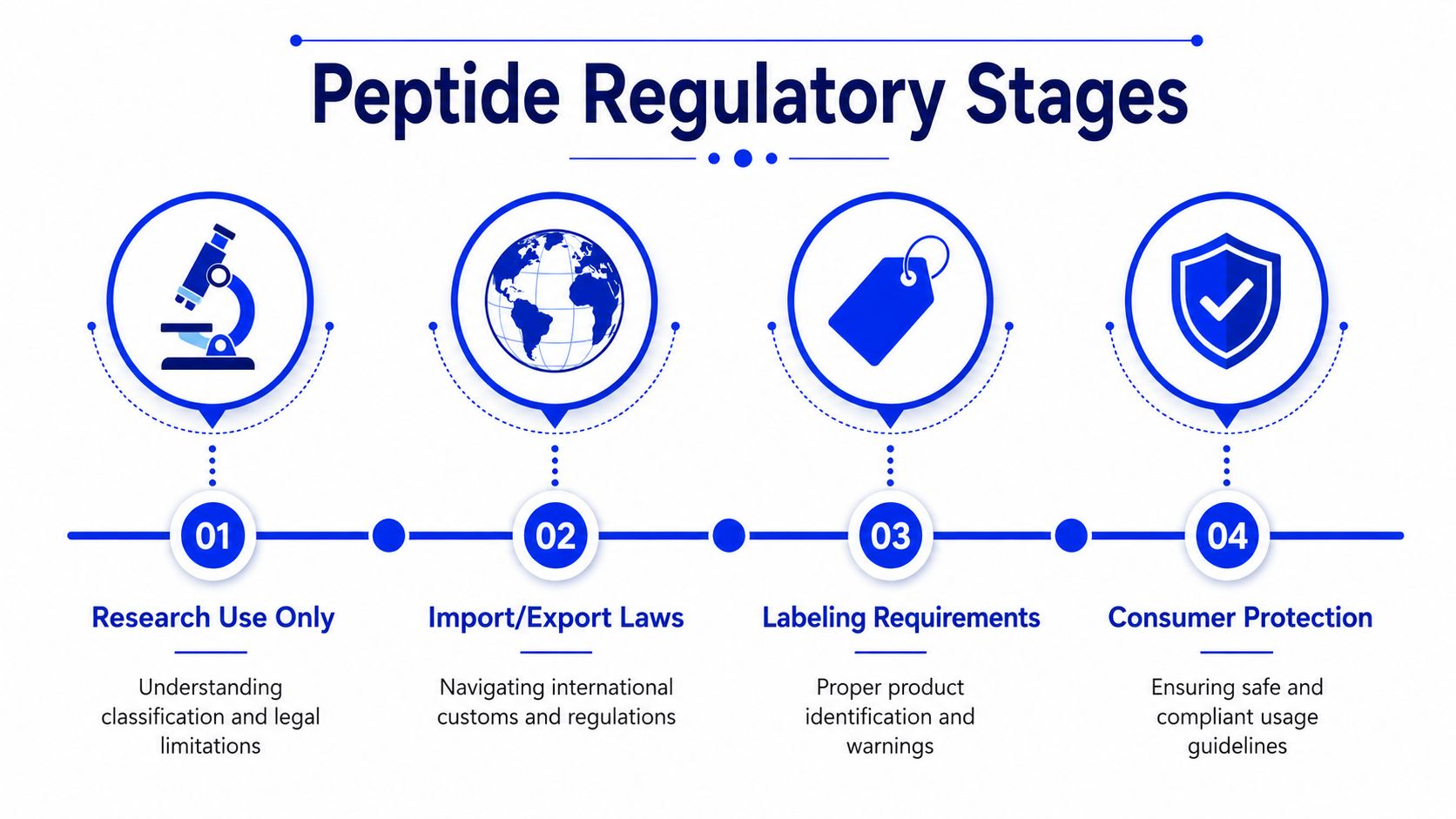 A diagram outlining the four key regulatory stages for peptides including research, imports, labeling, and consumer protection.