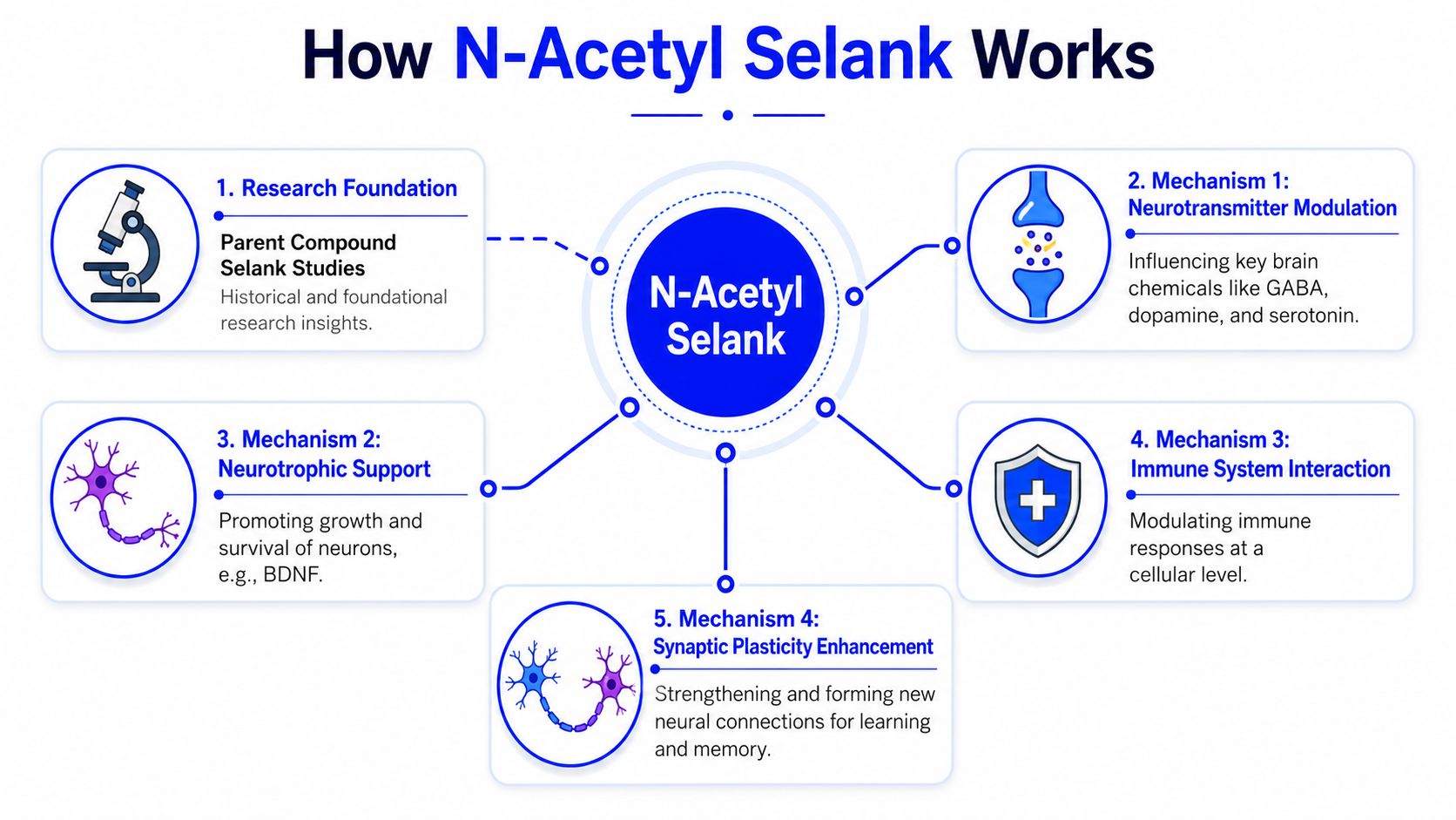 A diagram explaining the five key mechanisms and research foundations of how N-Acetyl Selank works.
