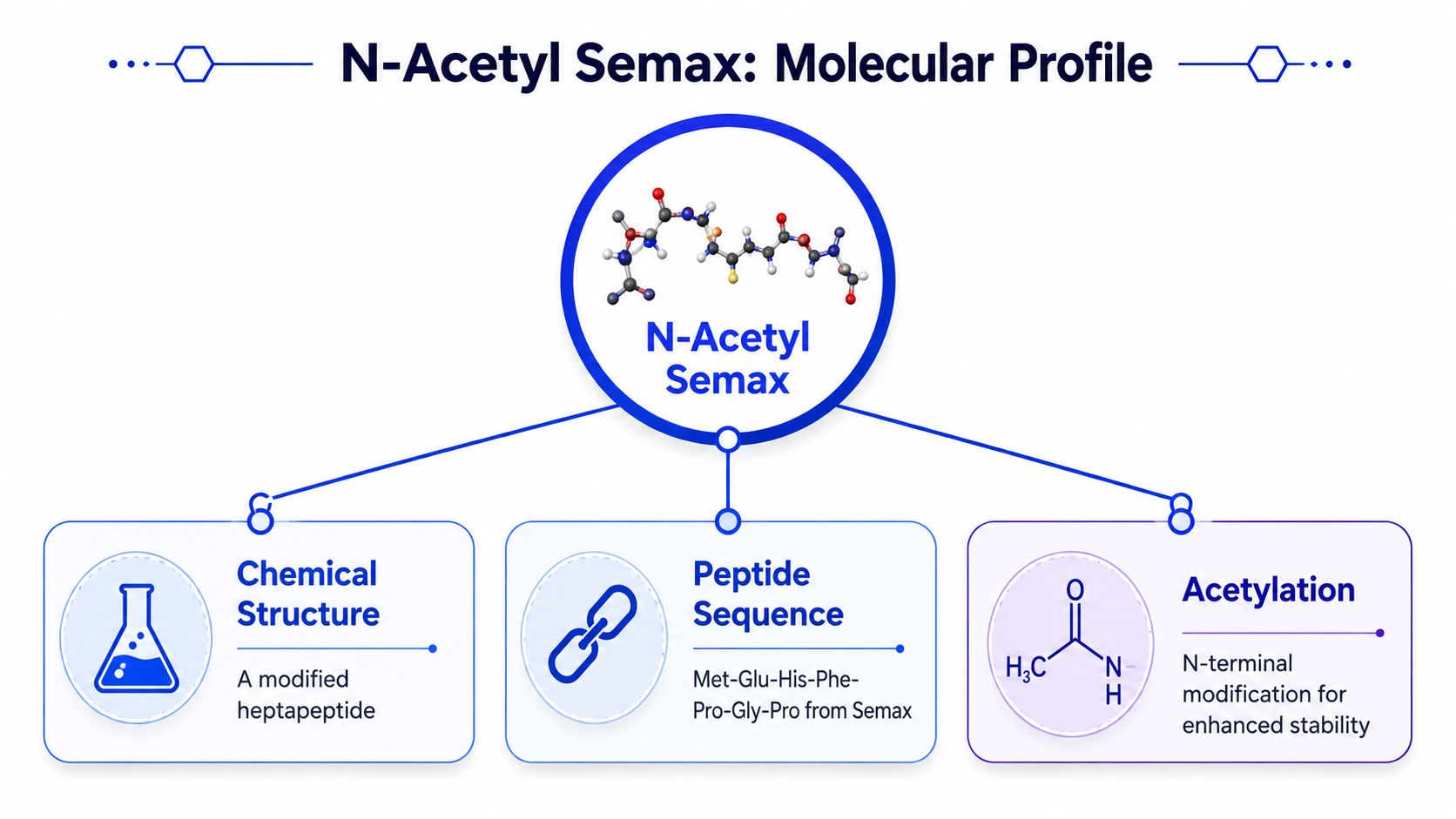 An infographic showing the molecular profile, peptide sequence, and acetylation of N-Acetyl Semax heptapeptide.