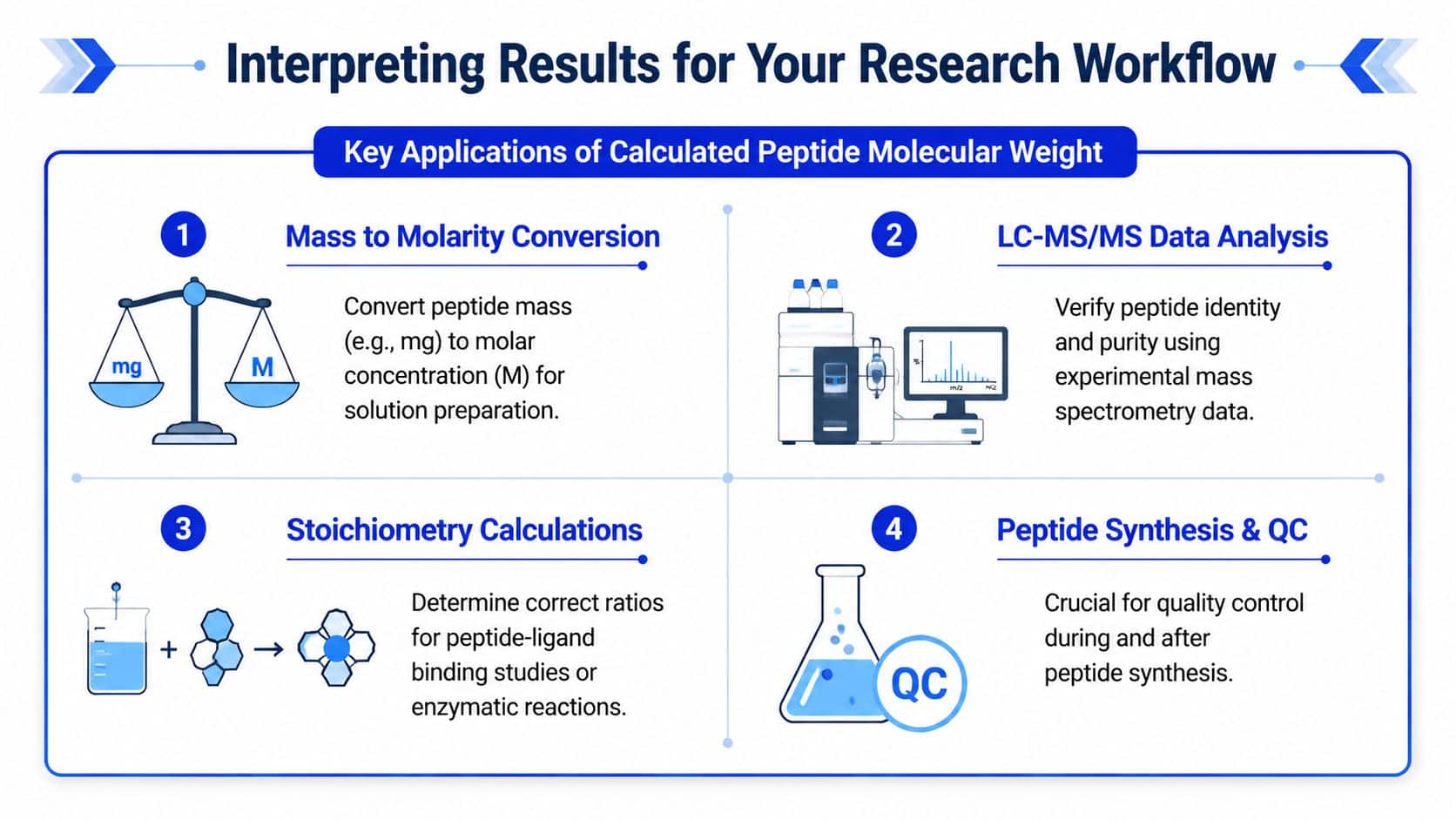 An infographic showing four key research applications for calculating peptide molecular weight in a laboratory setting.