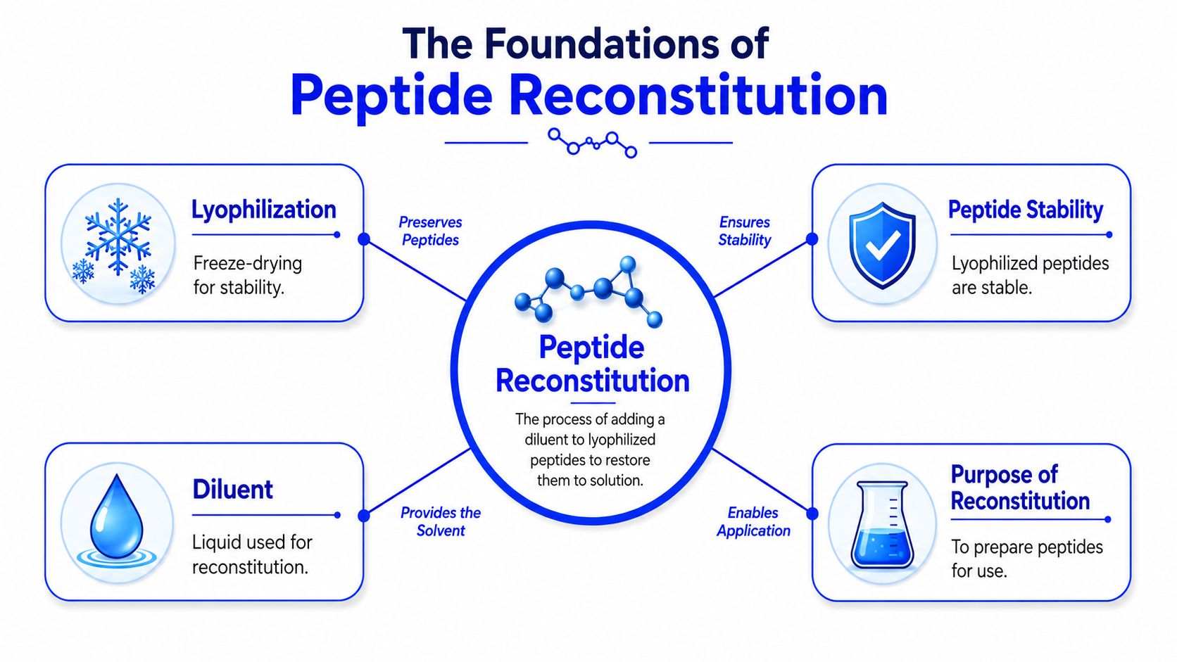 An infographic titled The Foundations of Peptide Reconstitution explaining the process of restoring lyophilized peptides to solution.