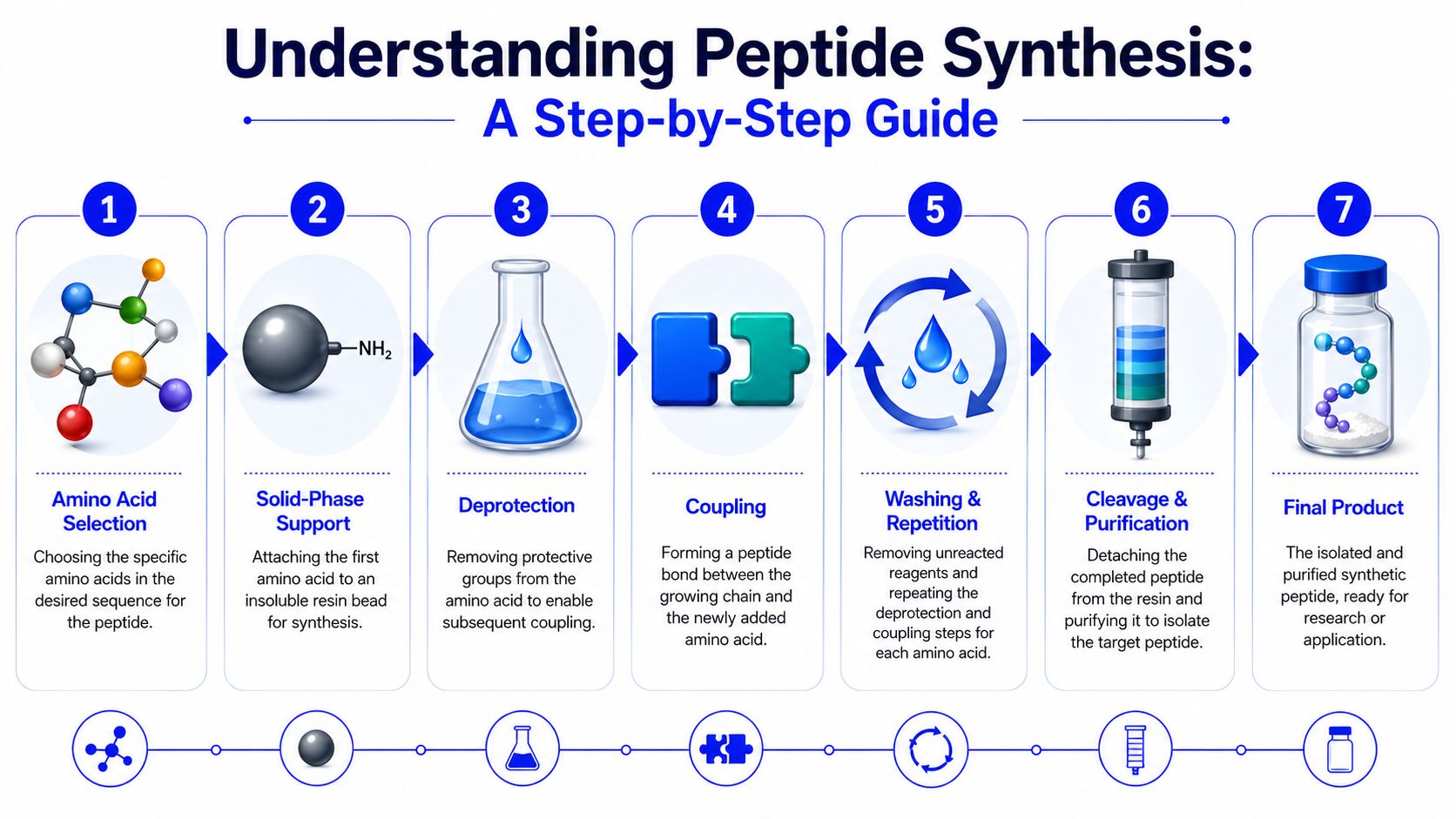 A seven-step infographic illustrating the professional laboratory process of solid-phase peptide synthesis from start to finish.