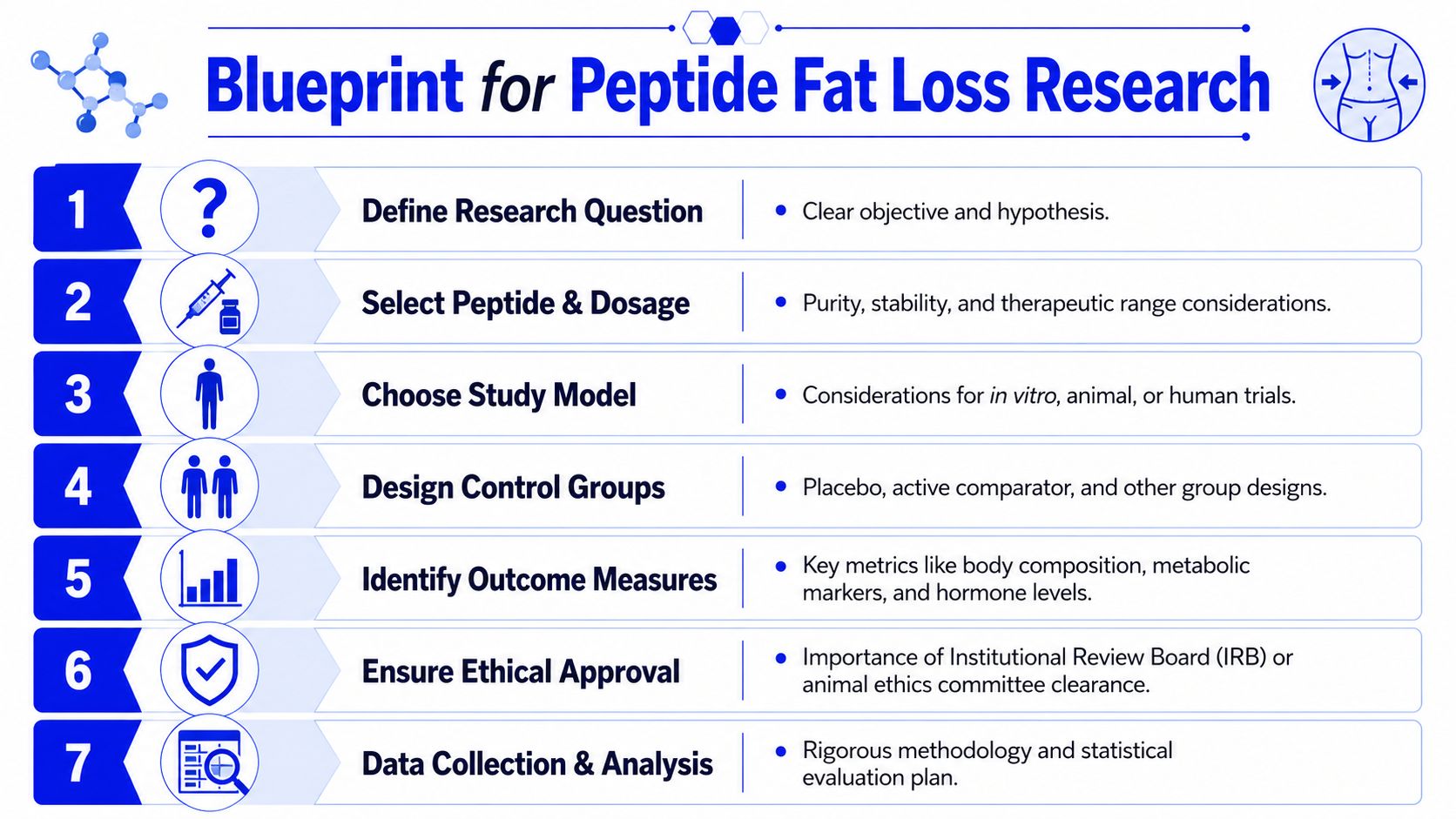 A seven-step flowchart outlining the research process for conducting studies on peptide therapy for fat loss.