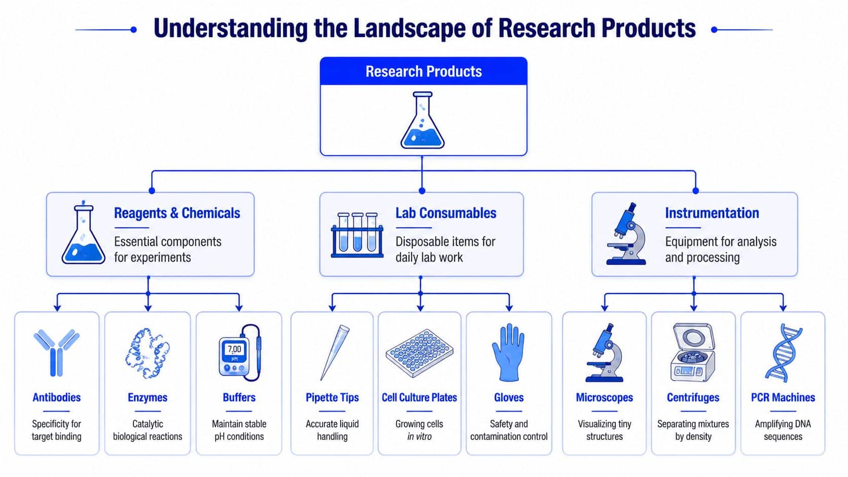 A comprehensive infographic illustrating categories of research products including reagents, consumables, and laboratory instrumentation with examples.