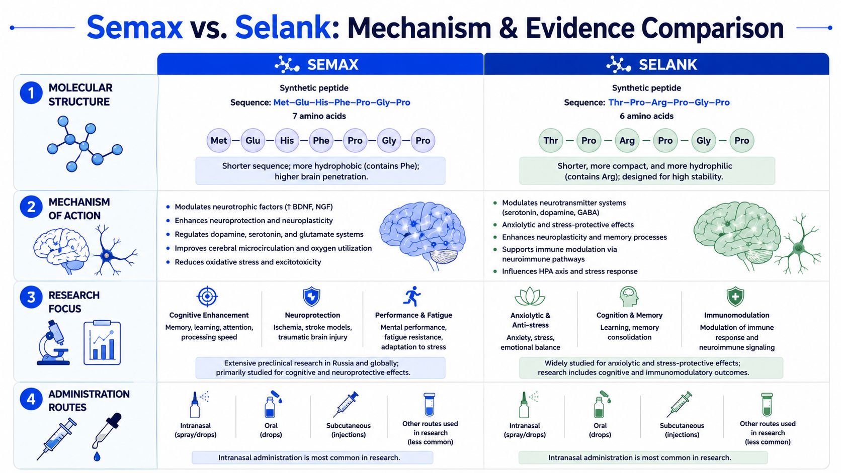 A comparative chart detailing the molecular structure, mechanisms, research focus, and administration routes of Semax and Selank peptides.