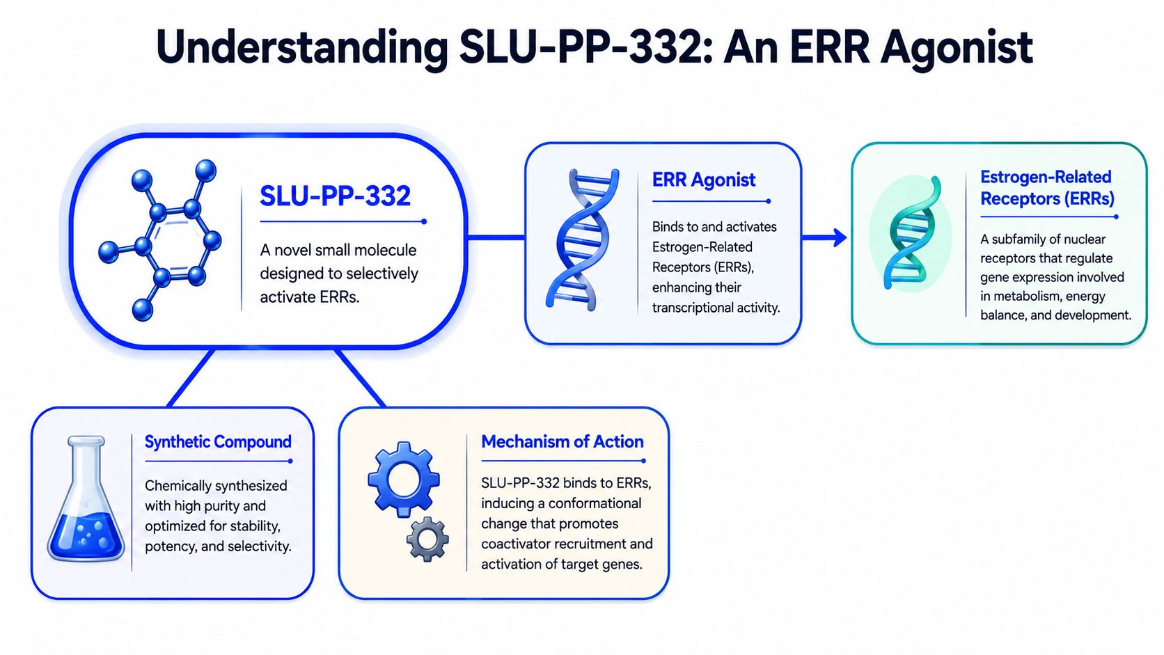 A diagram explaining the mechanism of SLU-PP-332, a synthetic small molecule that functions as an ERR agonist.