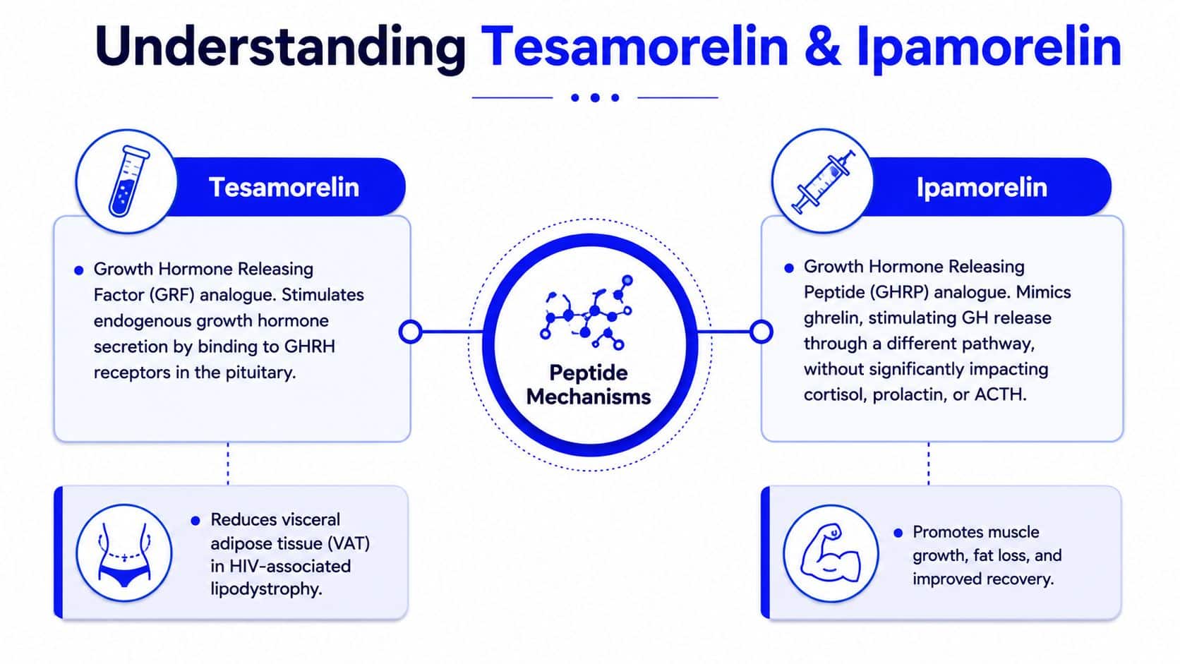 A comparison infographic explaining the differences between Tesamorelin and Ipamorelin peptide mechanisms and their primary health applications.