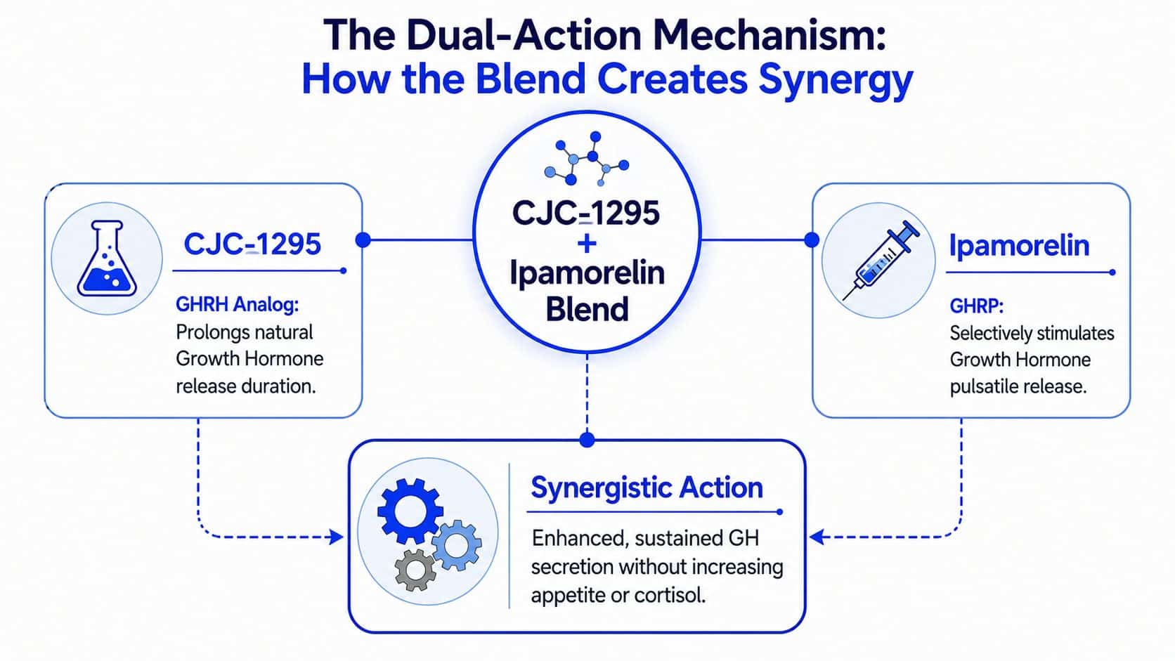 An infographic explaining the synergistic mechanism of a CJC-1295 and Ipamorelin peptide blend for growth hormone release.