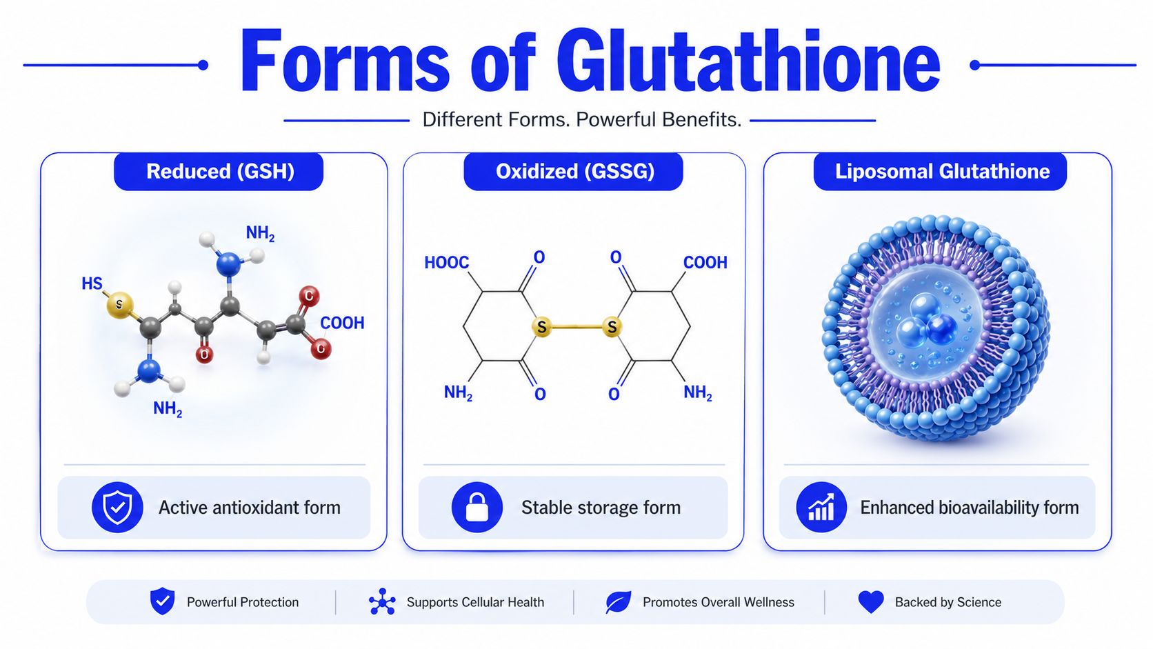 A detailed infographic illustrating the three primary forms of glutathione: reduced, oxidized, and liposomal, highlighting their distinct functions.