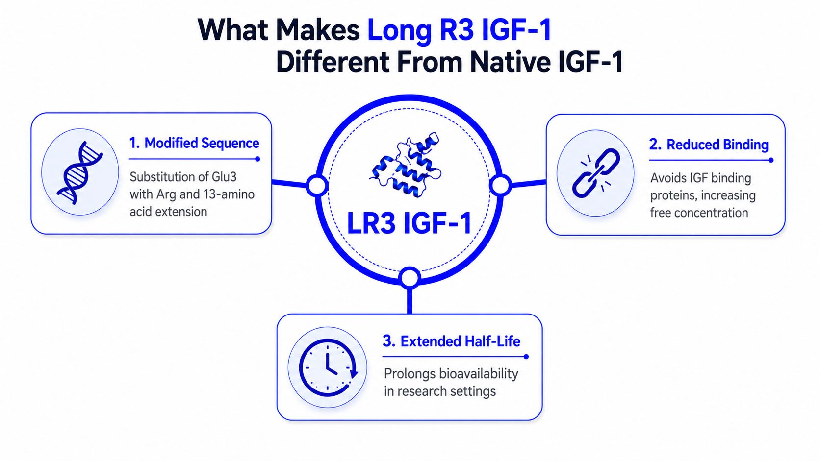 A diagram illustrating the three key differences between Long R3 IGF-1 and native IGF-1 in research applications.