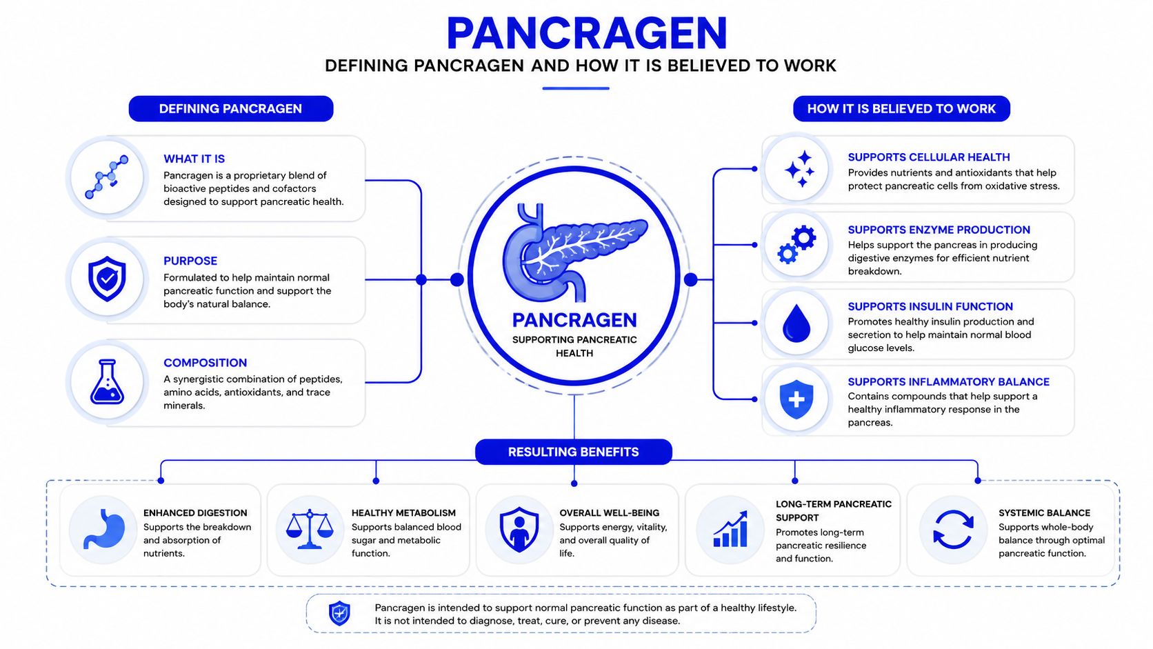A diagram illustrating the purpose, composition, mechanism of action, and health benefits of Pancragen for pancreatic health.