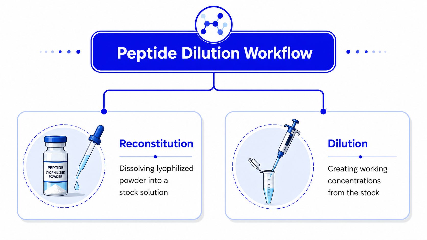 A diagram illustrating the two-step peptide dilution workflow, starting with reconstitution followed by creating working concentrations.