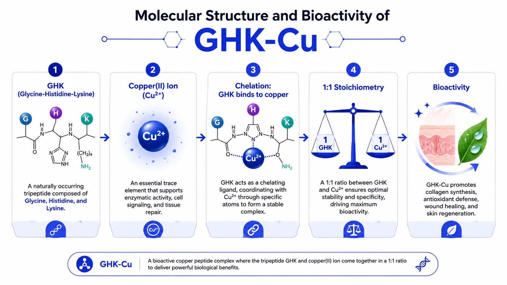 A diagram illustrating the molecular structure and biological activity of the GHK-Cu copper peptide complex.
