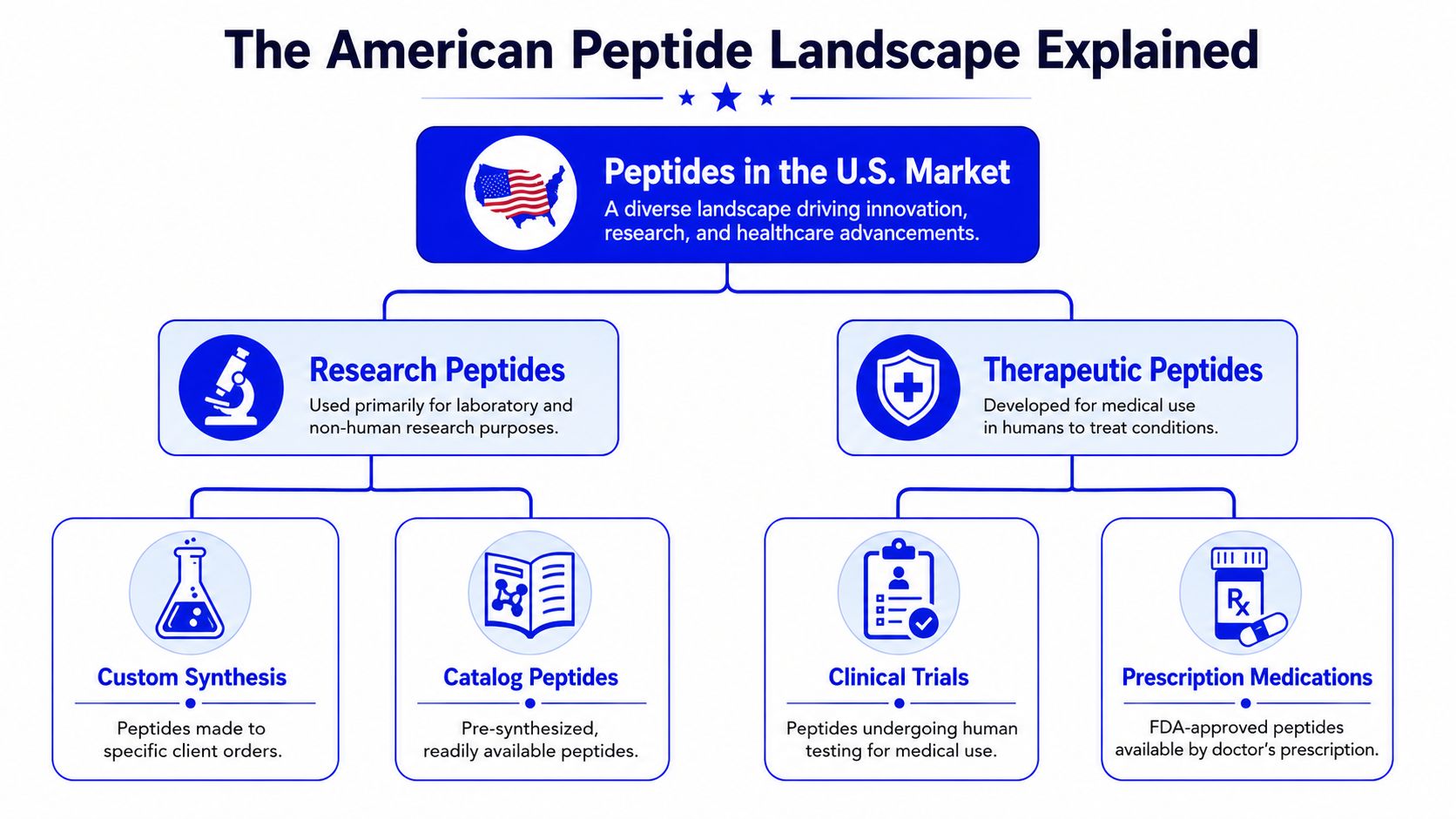 An infographic titled The American Peptide Landscape Explained showing research and therapeutic peptide market categories.