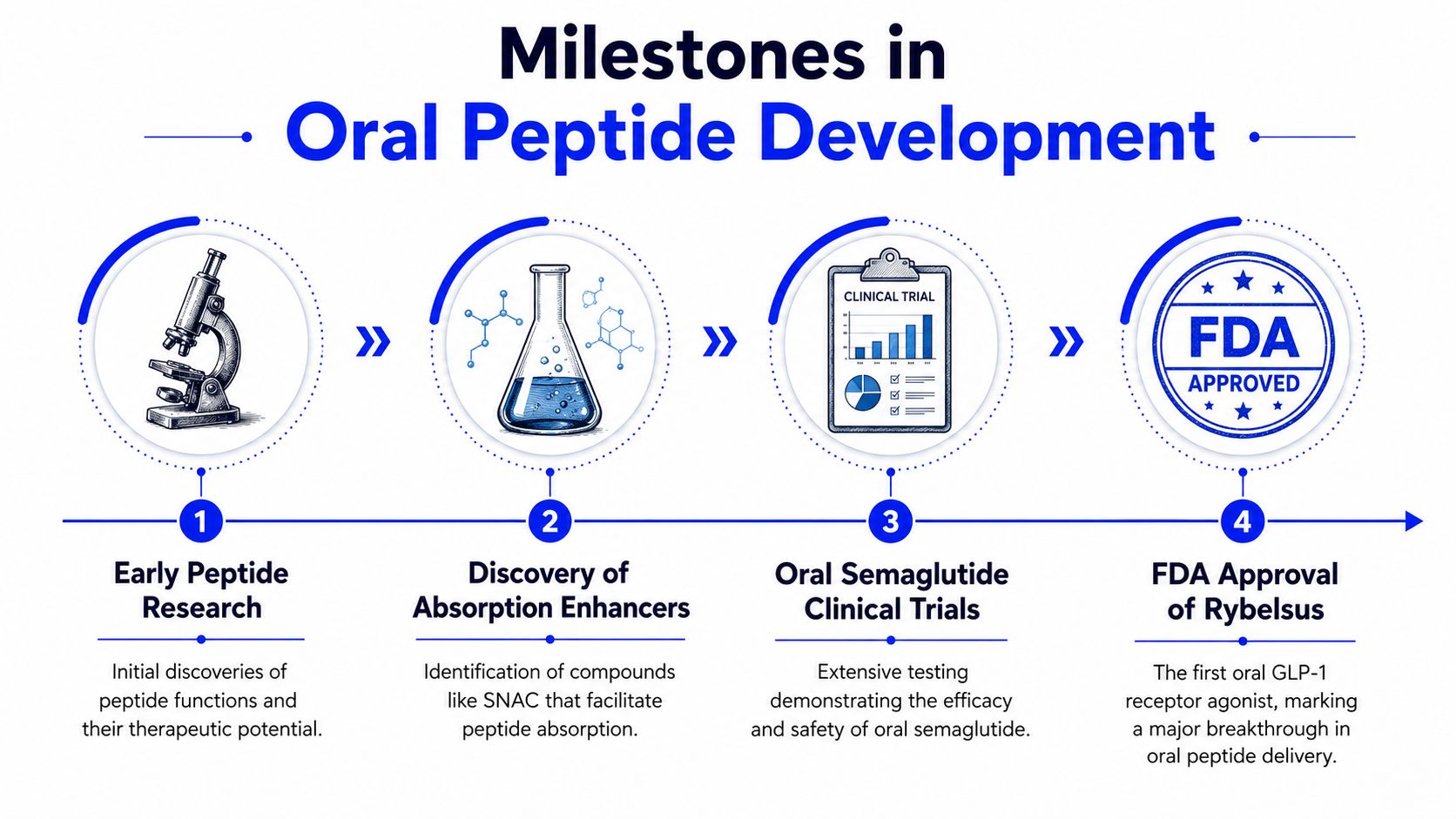 A diagram outlining the four key development milestones for oral peptide medication, starting from research to FDA approval.