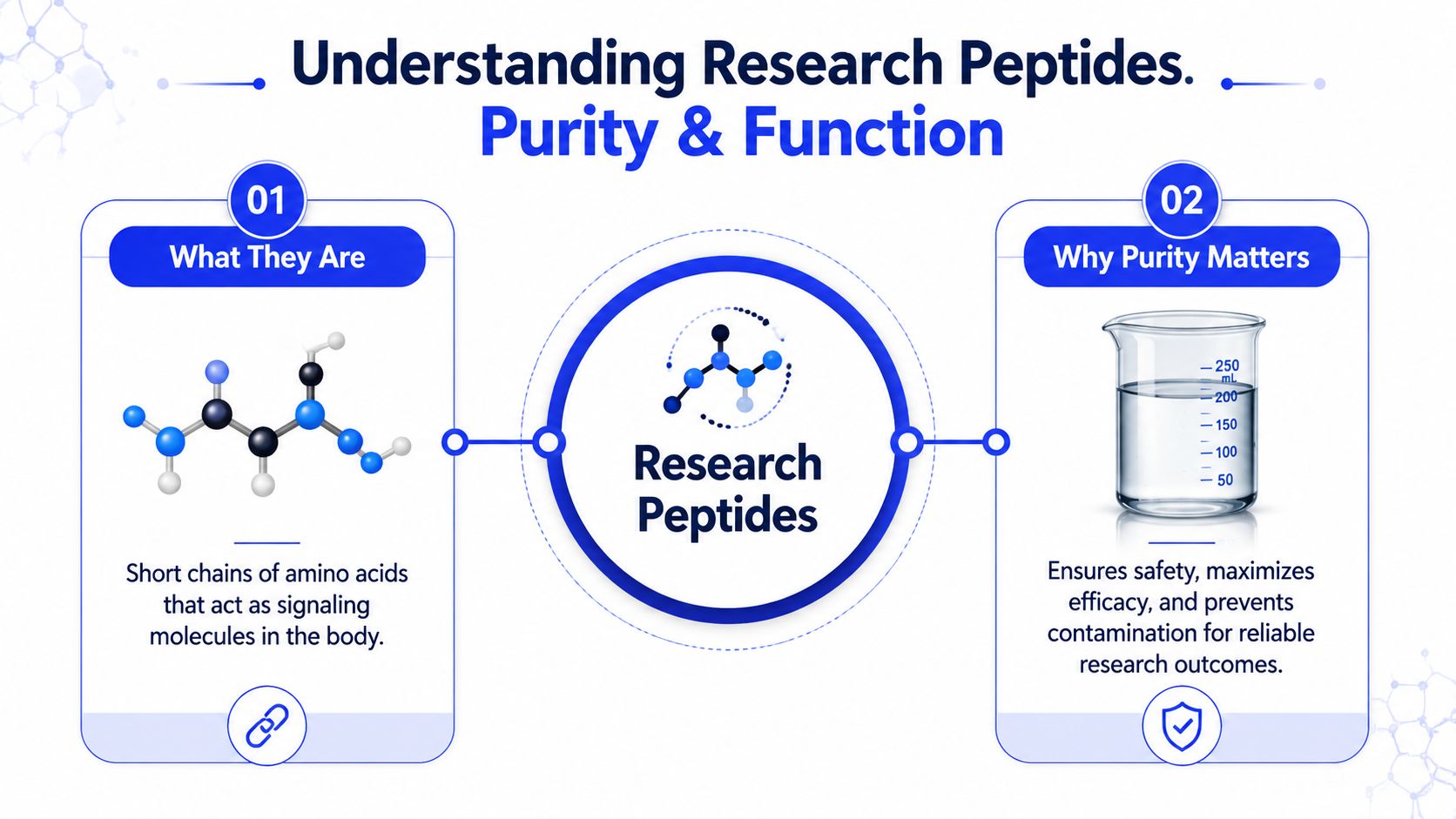 An infographic titled Understanding Research Peptides explaining what peptides are and why purity matters for research.