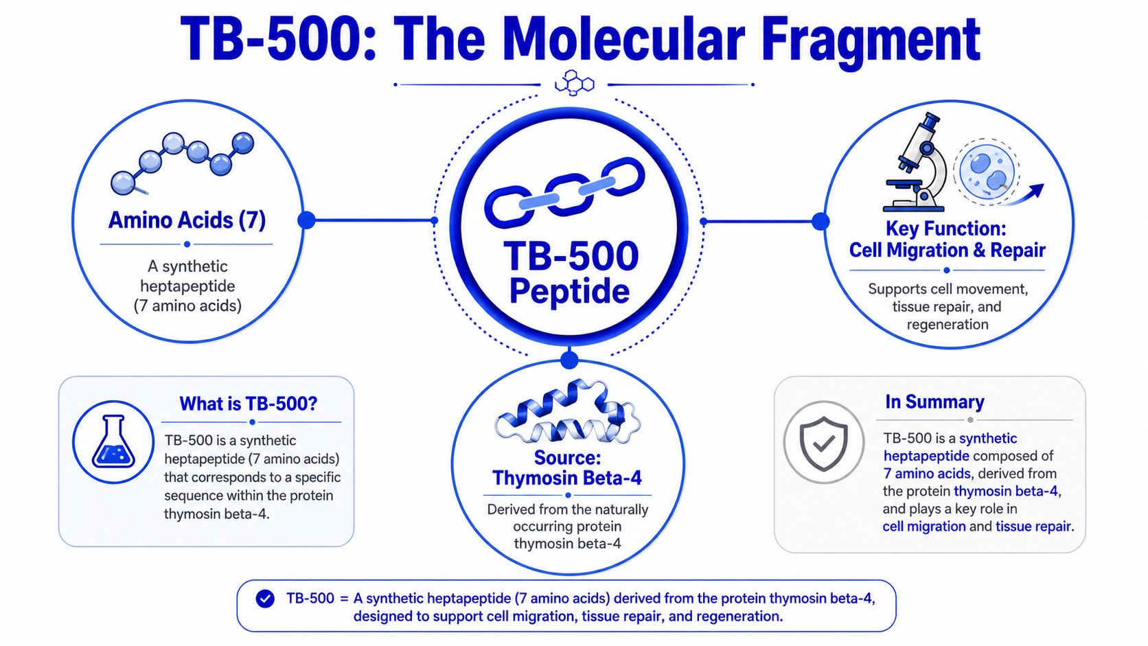 An educational infographic explaining that TB-500 is a synthetic peptide derived from Thymosin Beta-4.