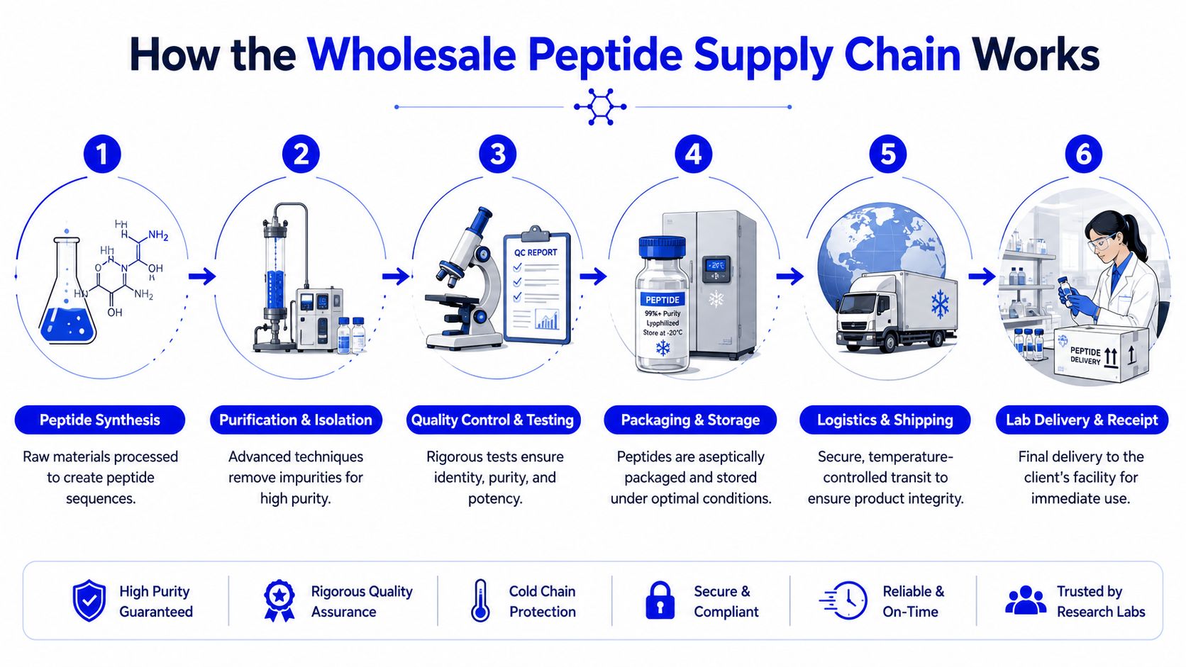 An infographic showing the six-step wholesale peptide supply chain process from synthesis to lab delivery.