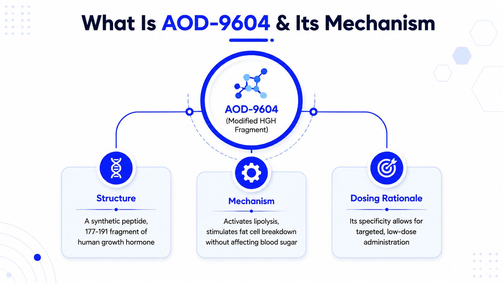 An educational infographic explaining the structure, mechanism, and dosing rationale of the synthetic peptide AOD-9604.
