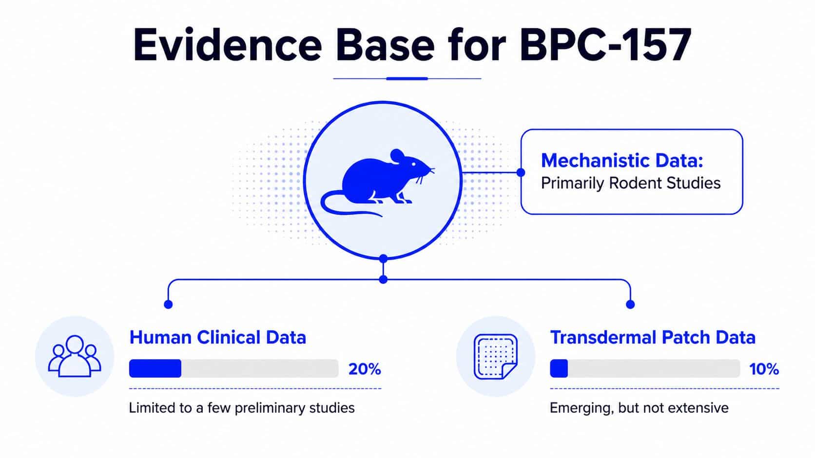 A diagram illustrating the evidence base for BPC-157, featuring mechanistic rodent data, limited human studies, and transdermal patches.