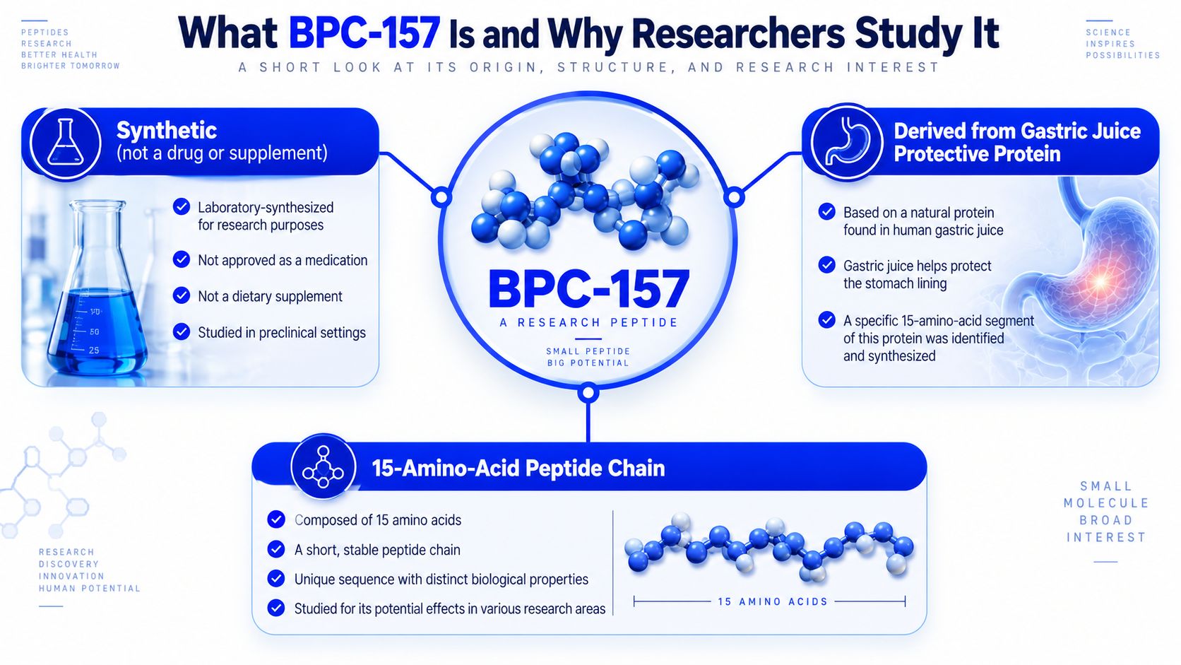 An educational infographic explaining that BPC-157 is a synthetic, 15-amino-acid research peptide derived from gastric juice protein.