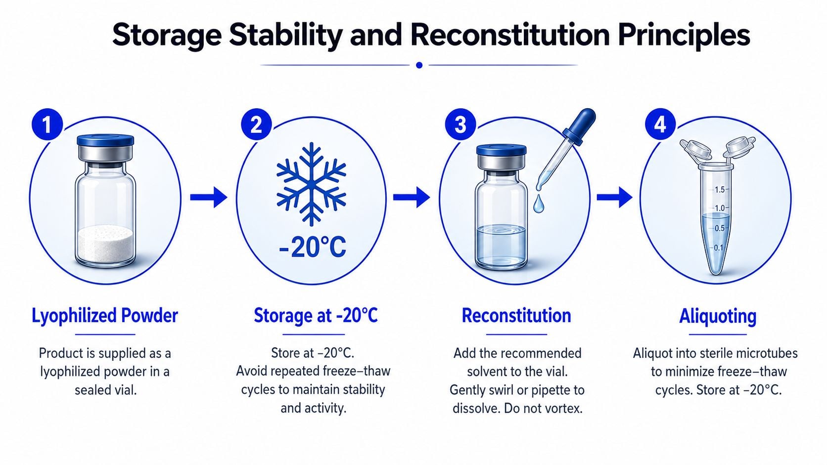 A four-step infographic illustrating the professional protocol for storing and reconstituting lyophilized powder laboratory products.