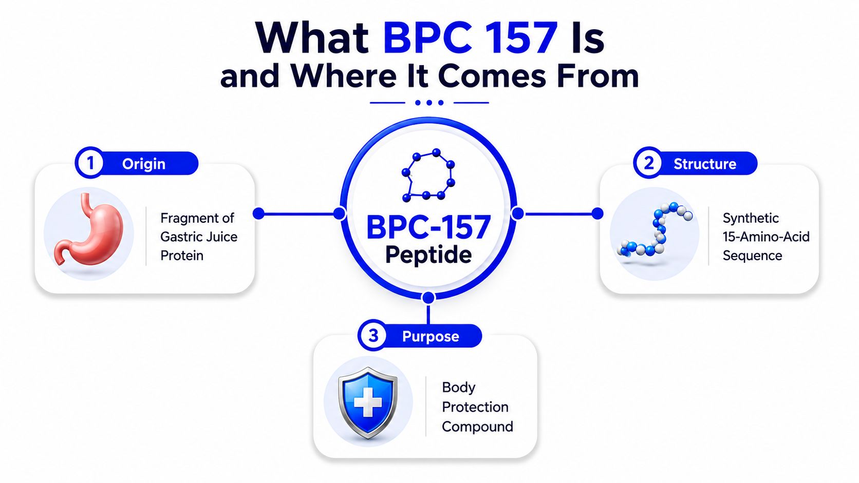 A diagram explaining BPC-157 as a synthetic 15-amino-acid peptide derived from gastric juice proteins for body protection.