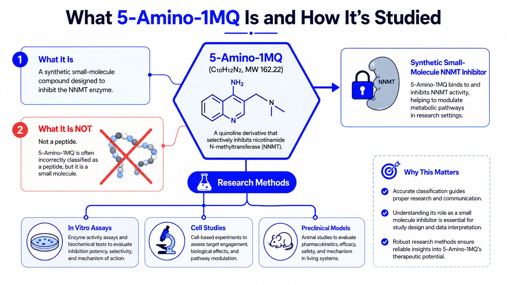 An infographic titled What 5-Amino-1MQ Is and How It Is Studied explaining its role as an NNMT inhibitor.