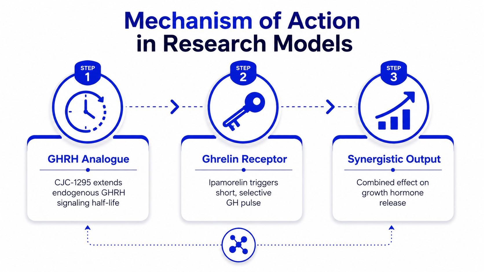 A diagram illustrating the synergistic mechanism of action for CJC-1295 and Ipamorelin in research models.
