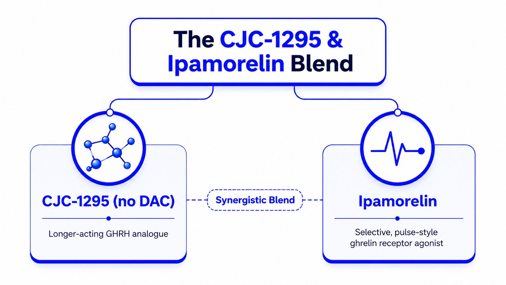 A diagram illustrating the components of a synergistic blend containing CJC-1295 no DAC and Ipamorelin peptides.