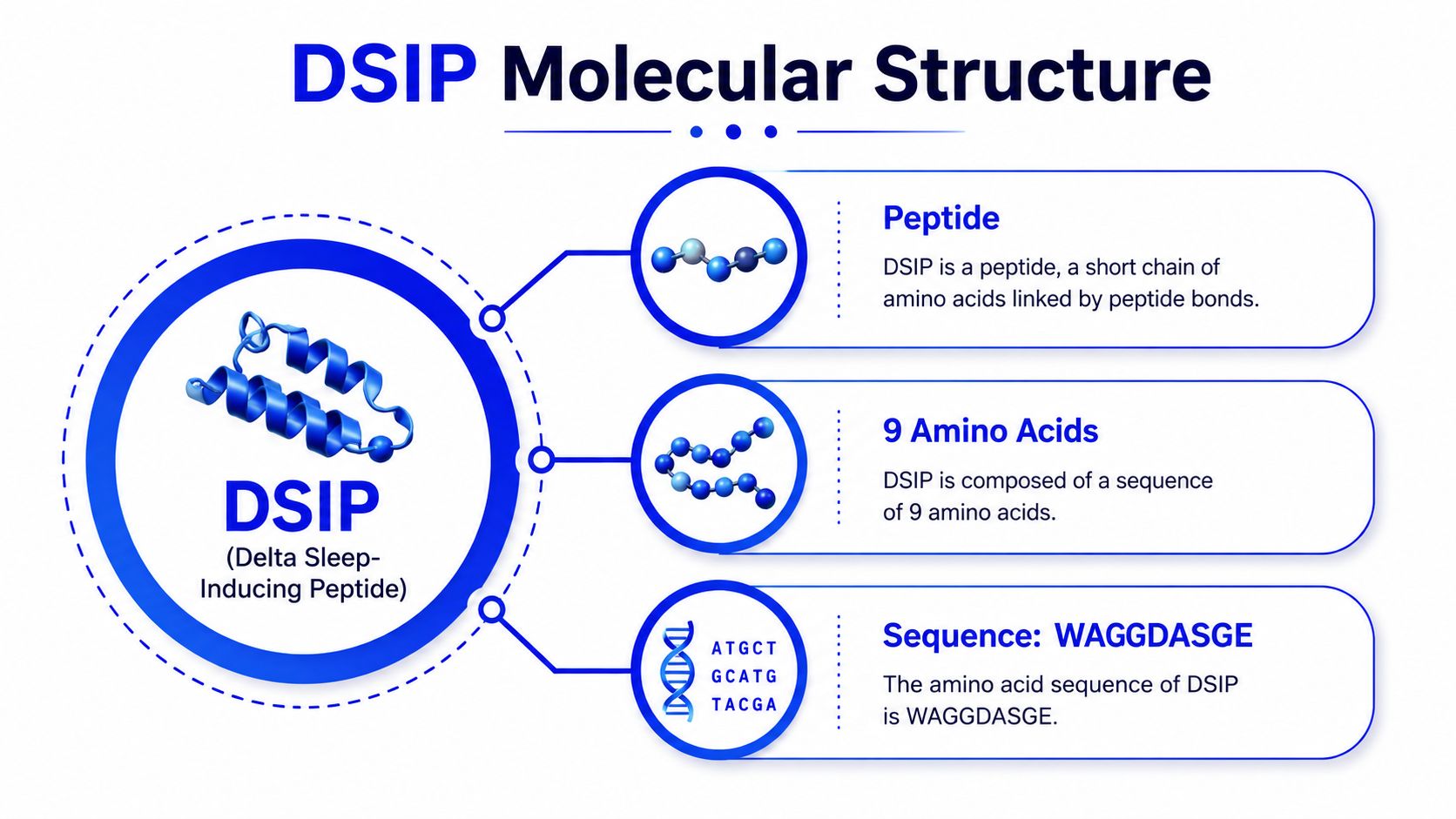 A professional infographic illustrating the molecular structure, sequence, and composition of the Delta Sleep-Inducing Peptide (DSIP).