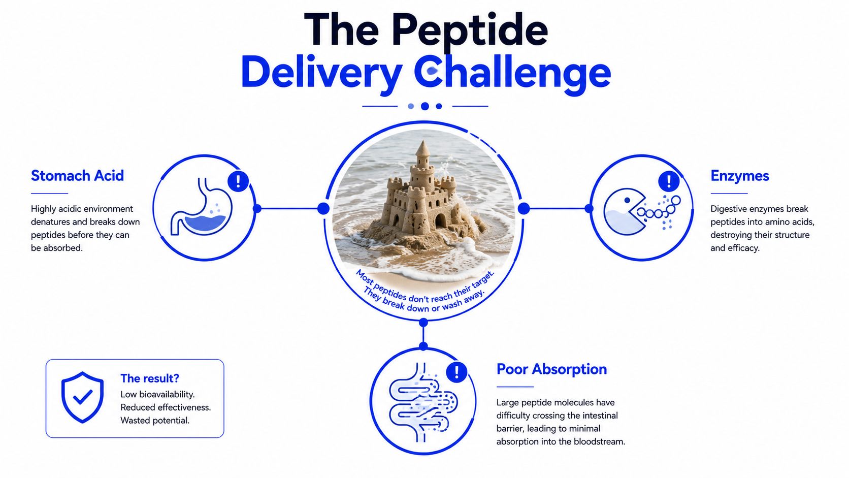 An infographic illustrating the challenges of oral peptide delivery including stomach acid, digestive enzymes, and poor absorption.