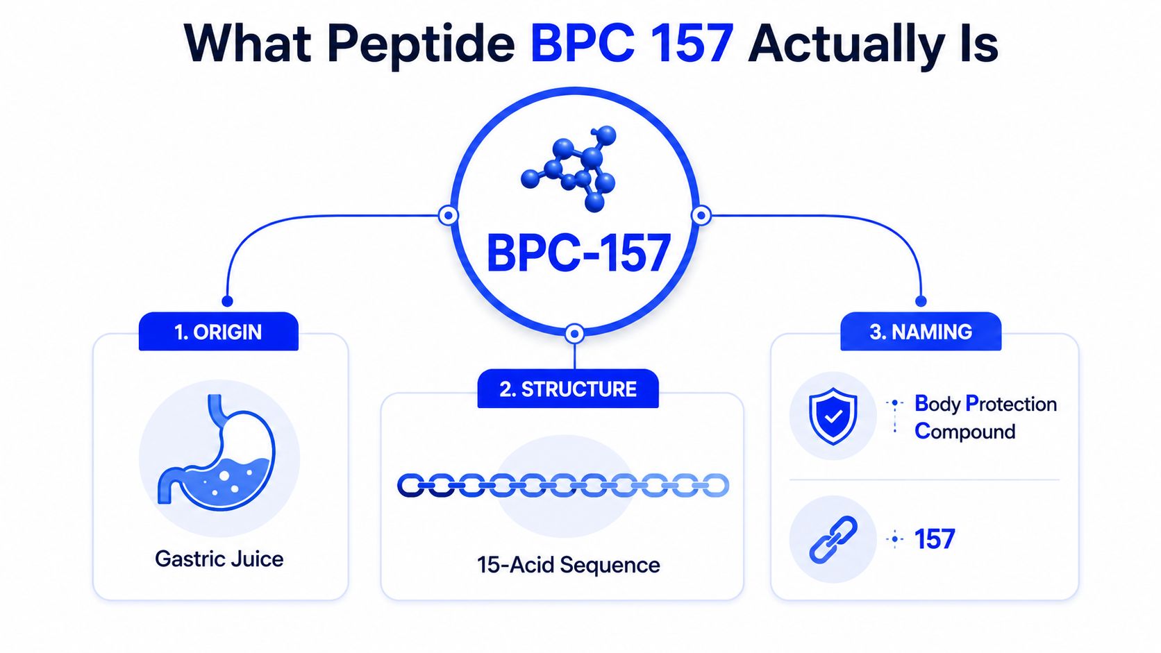 An infographic explaining that Peptide BPC 157 originates from gastric juice, has a 15-acid structure, and means Body Protection Compound.
